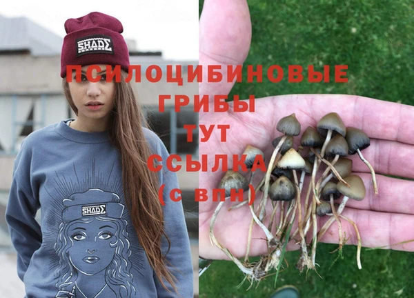 стафф Ельня