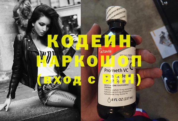 стафф Ельня