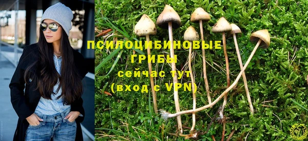 стафф Ельня