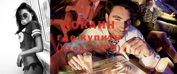стафф Ельня