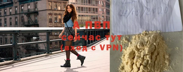 Альфа ПВП Елизово