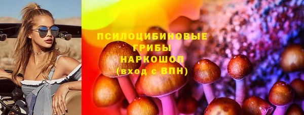 стафф Ельня