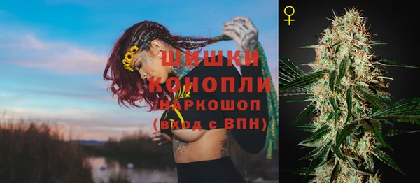 стафф Ельня