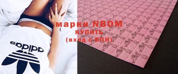 стафф Ельня