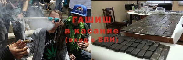 стафф Ельня