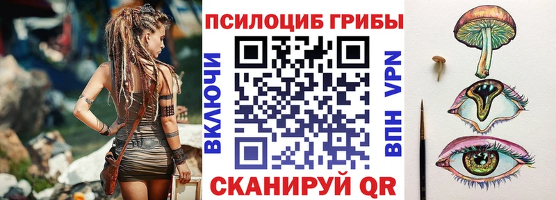 где можно купить наркотик  Благовещенск  MEGA зеркало  Галлюциногенные грибы Psilocybe 